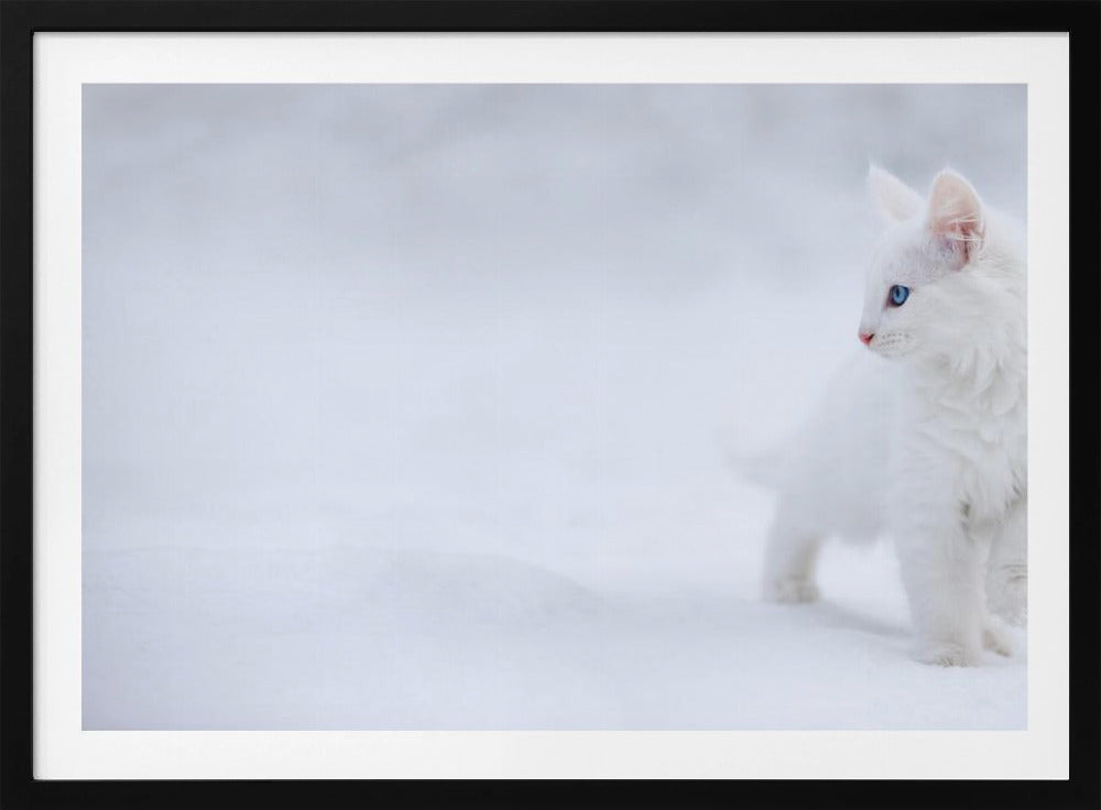 White as Snow | Poster