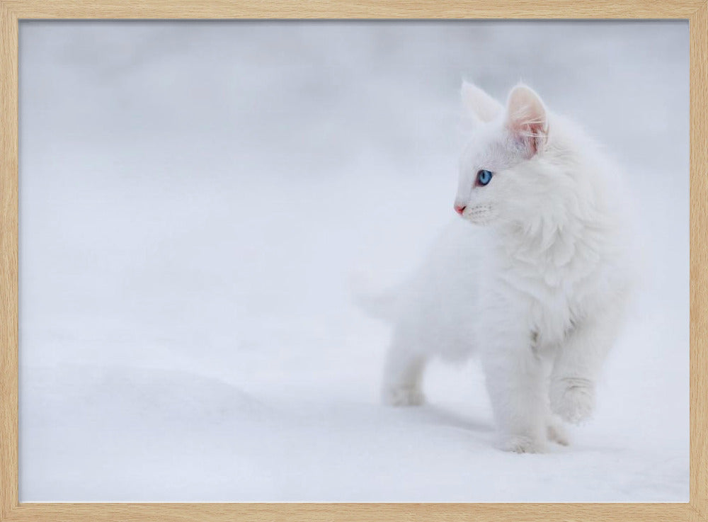 White as Snow | Poster