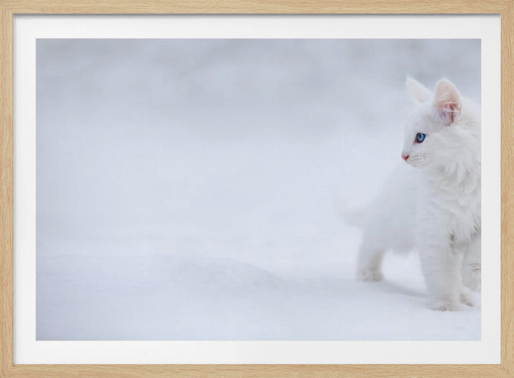 White as Snow | Poster