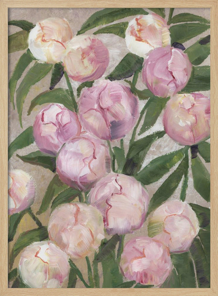 Valenty painterly peonies | Poster