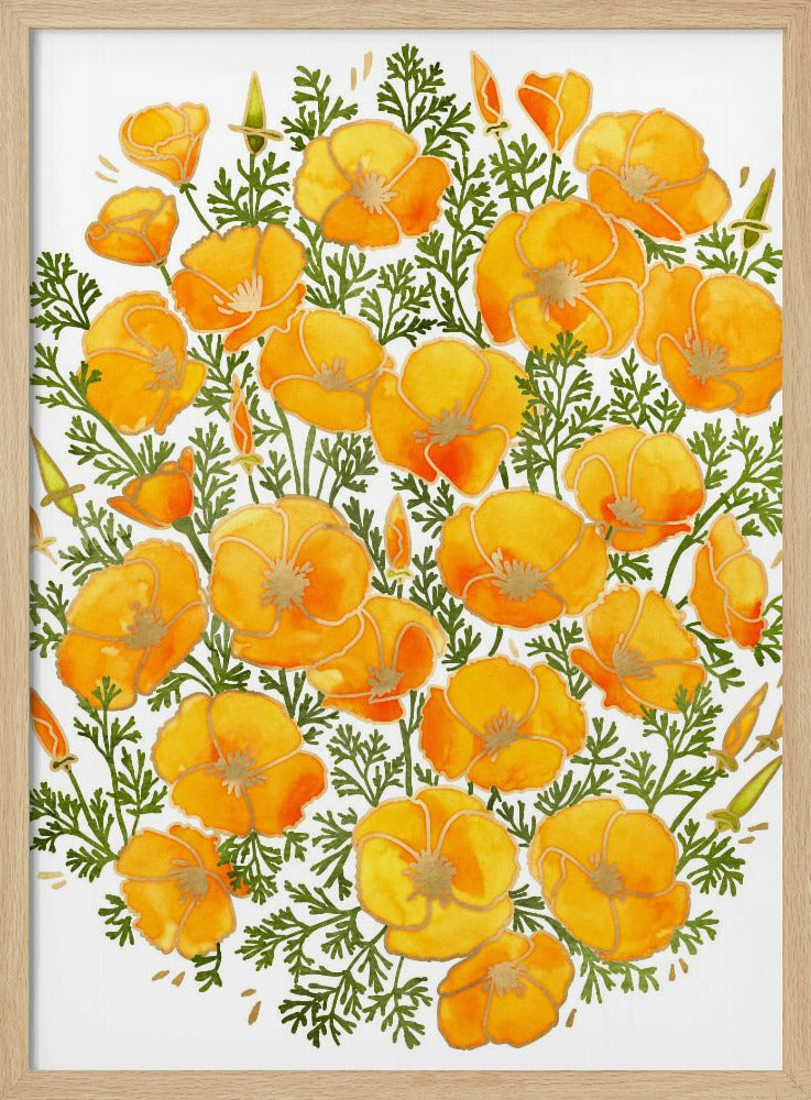 Gold accented California poppies | Poster