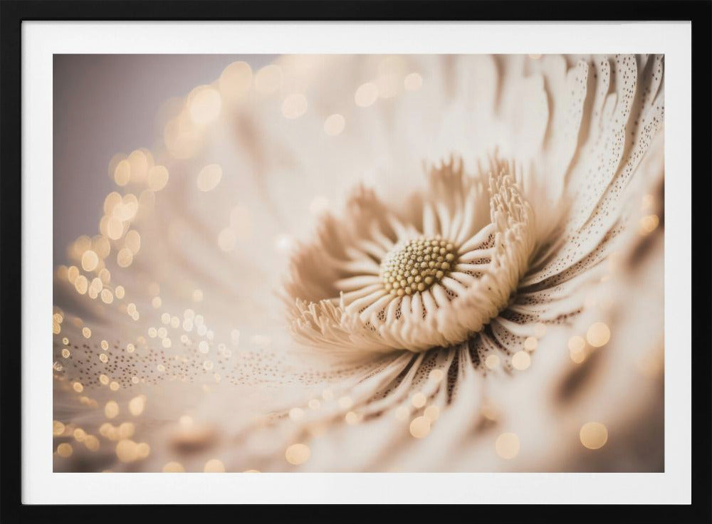 Petal Glow Dreaming | Poster