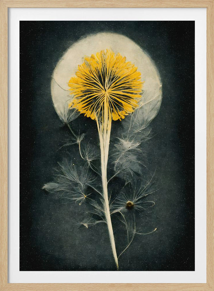 Celestial Bloom | Poster