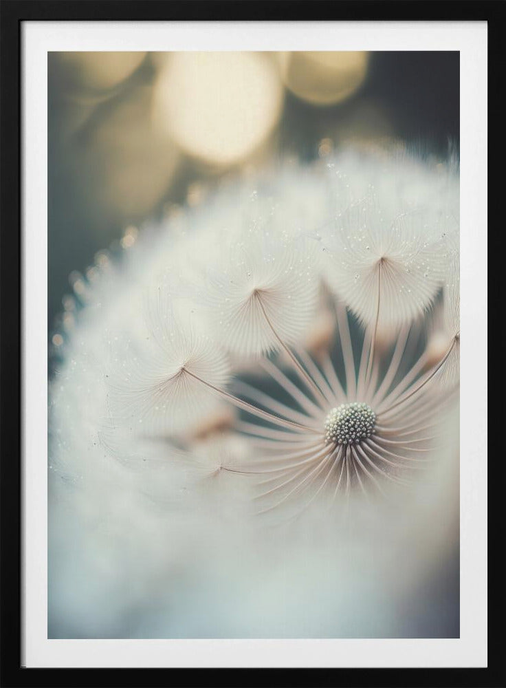 Whisper of Wishes | Poster