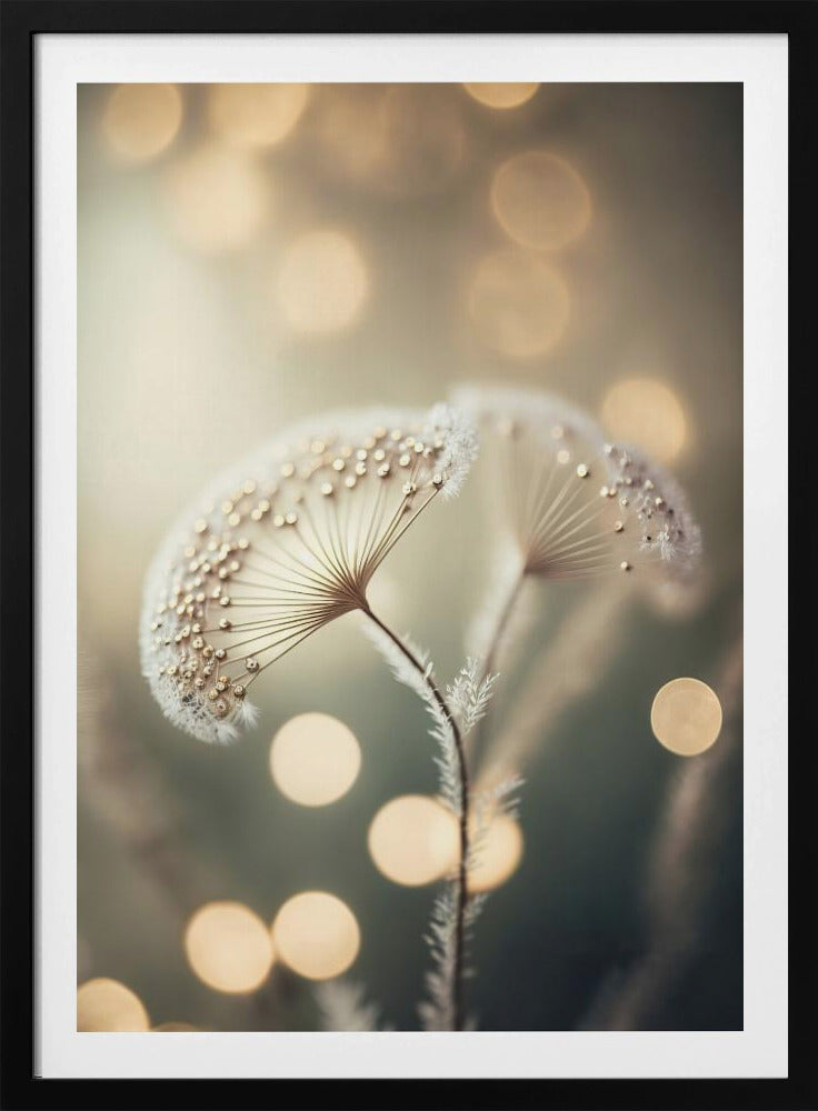 Ethereal Dreams | Poster