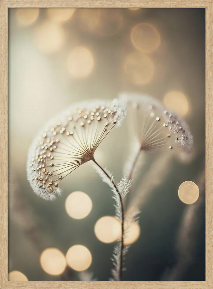 Ethereal Dreams | Poster