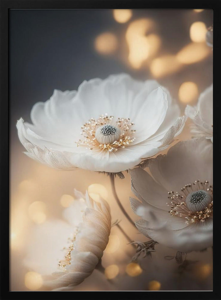 Petal Radiance | Poster