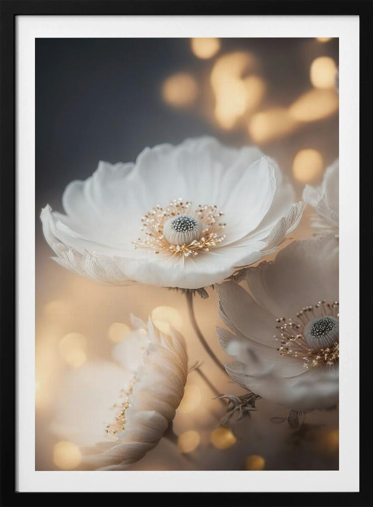 Petal Radiance | Poster