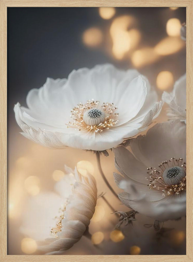 Petal Radiance | Poster