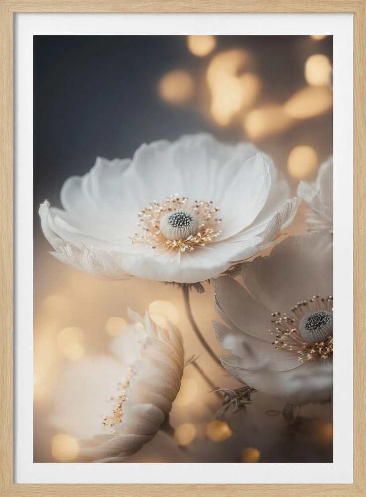 Petal Radiance | Poster