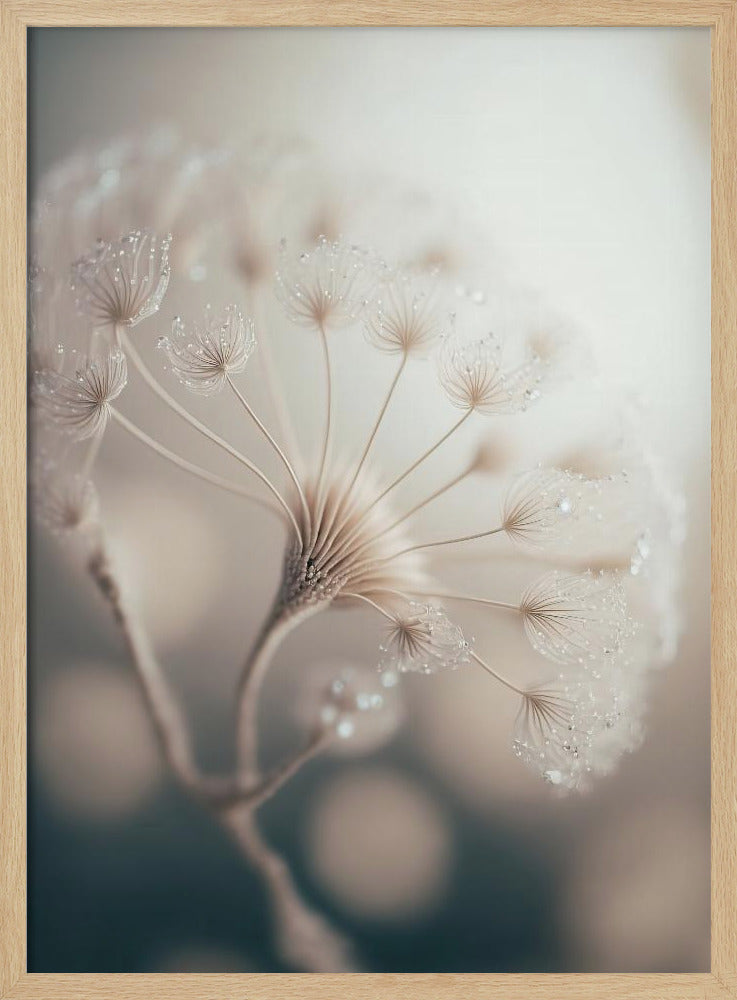 Ethereal Blossom | Poster