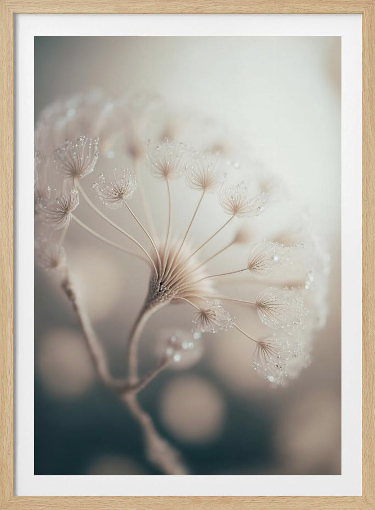 Ethereal Blossom | Poster