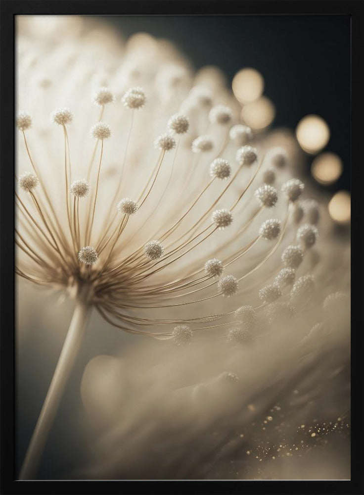 Whispering Seeds | Poster