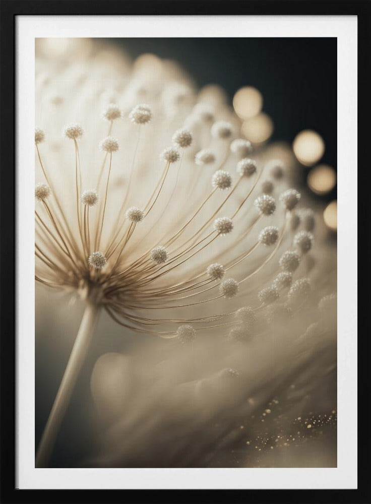 Whispering Seeds | Poster