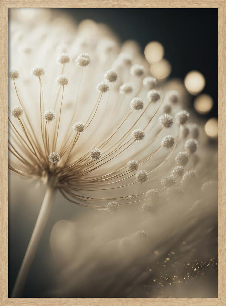 Whispering Seeds | Poster