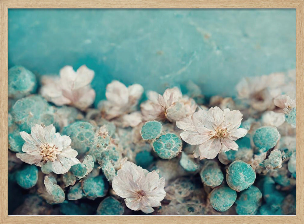 Aqua Blossom Dream | Poster