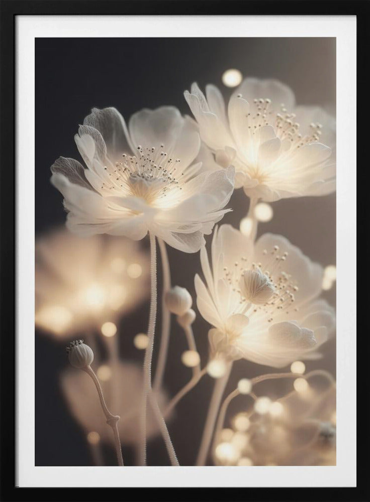 Glowing Petals | Poster