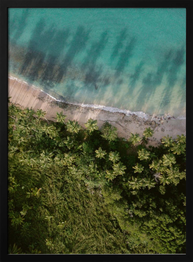 Palm Beach from Above | Poster