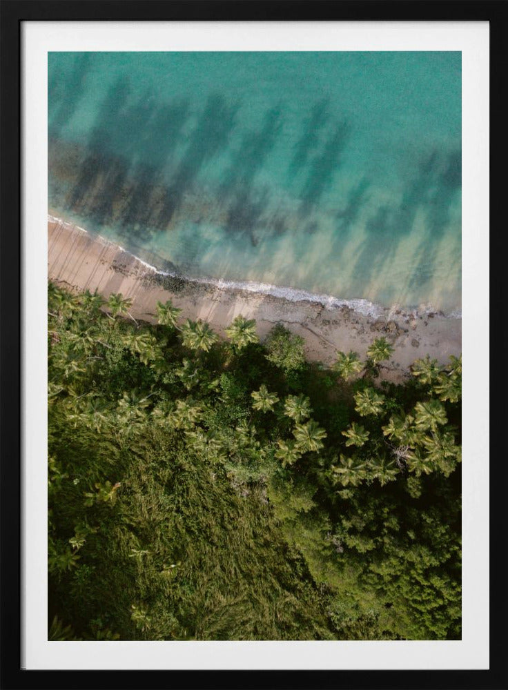 Palm Beach from Above | Poster