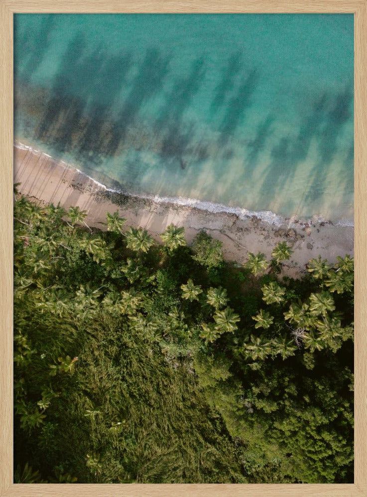Palm Beach from Above | Poster