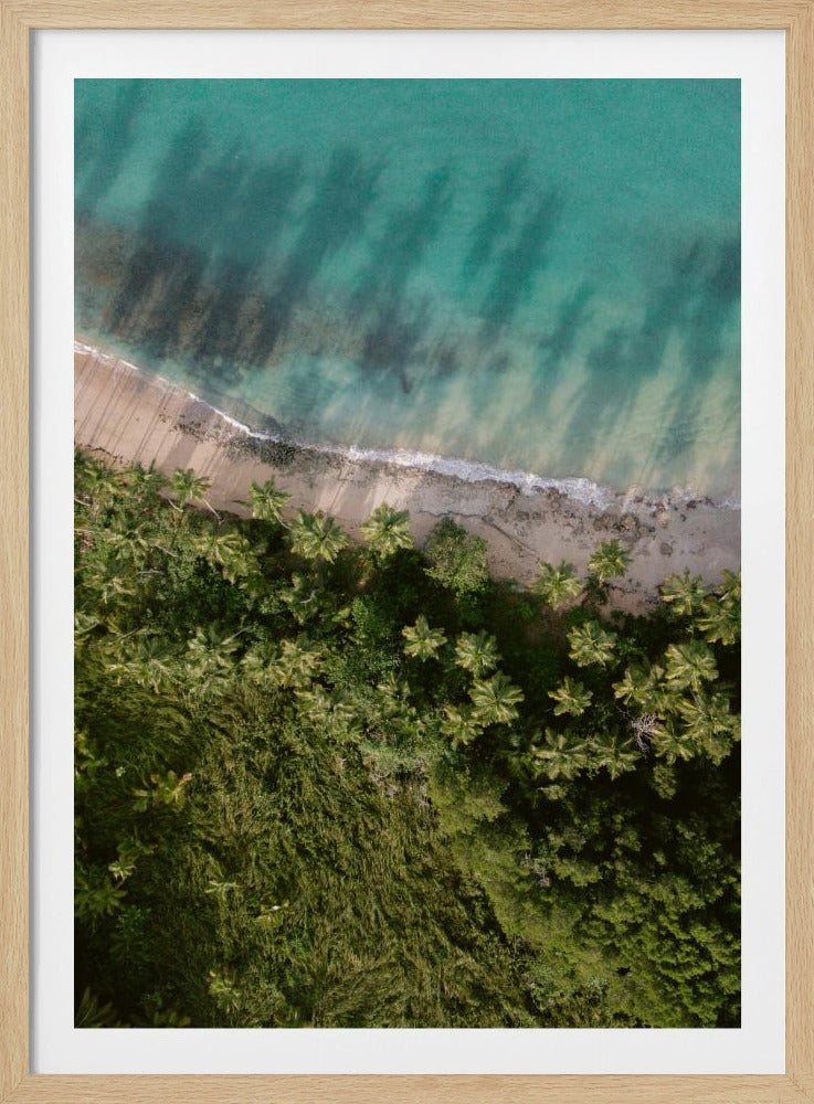 Palm Beach from Above | Poster