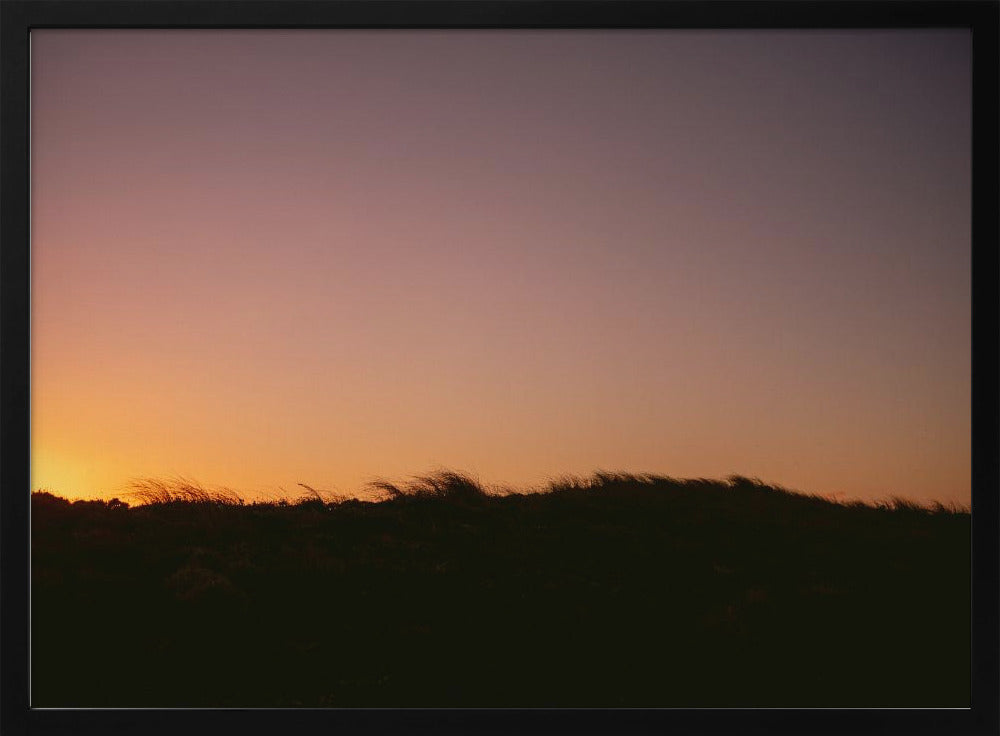 Dune Grass Sunset Horizontal | Poster