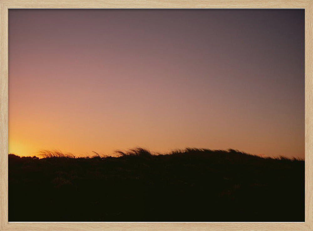 Dune Grass Sunset Horizontal | Poster