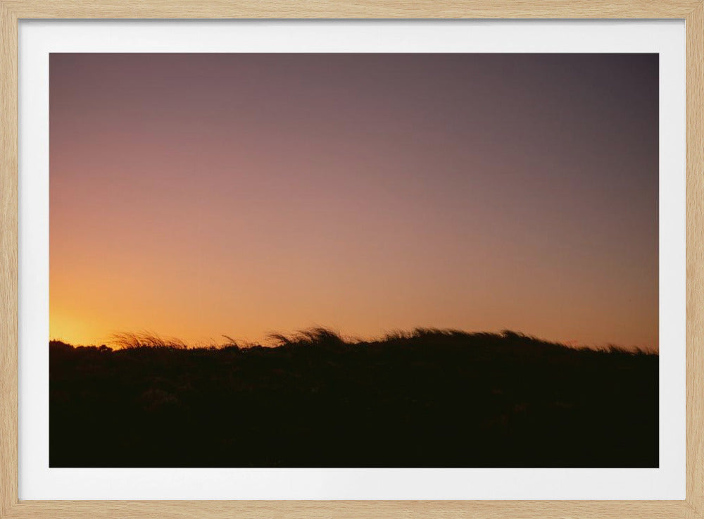 Dune Grass Sunset Horizontal | Poster