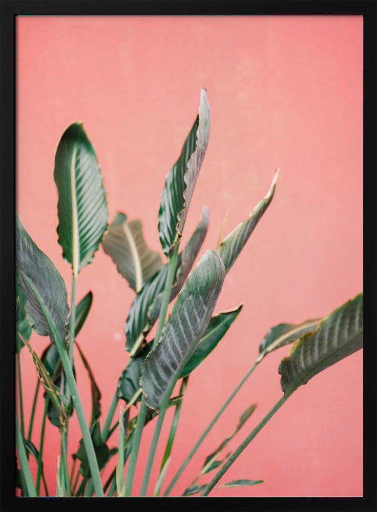 South Of Spain 7 | Poster