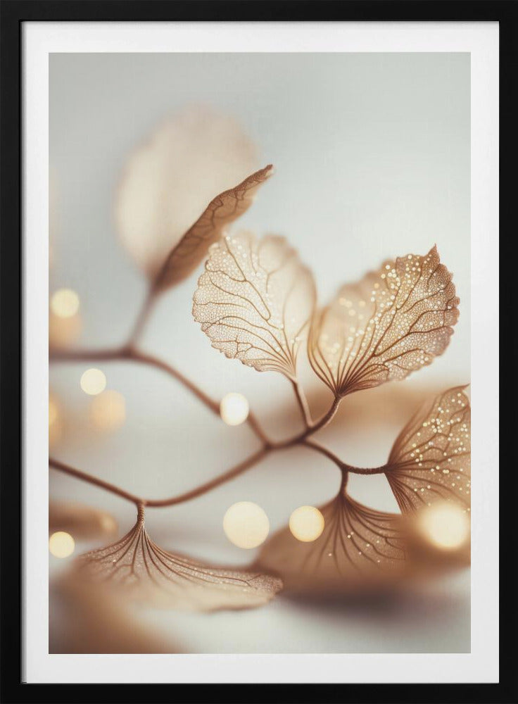 Fragile Elegance | Poster