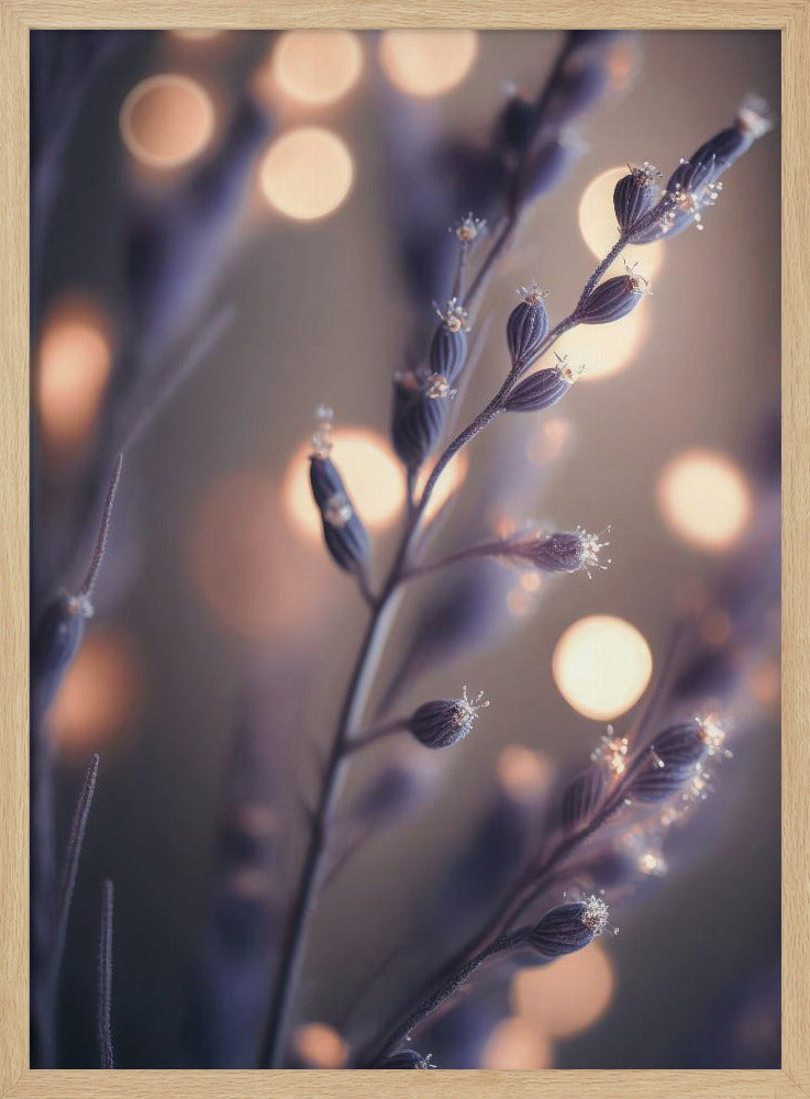 Dreamy Lavender Hues | Poster
