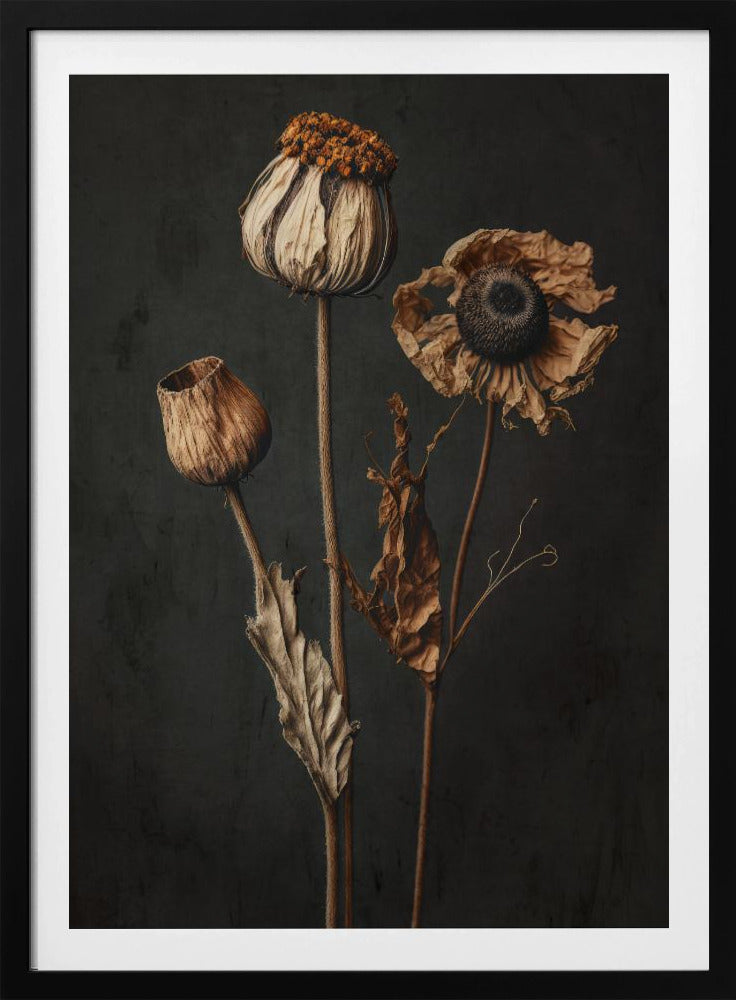 Withered Elegance | Poster