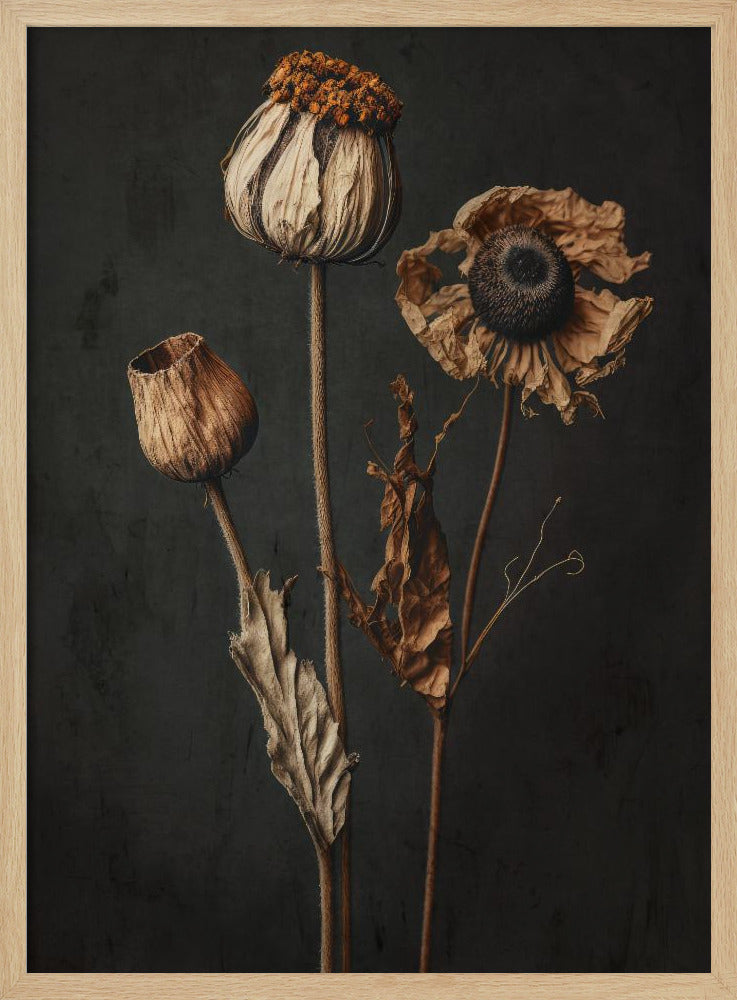 Withered Elegance | Poster