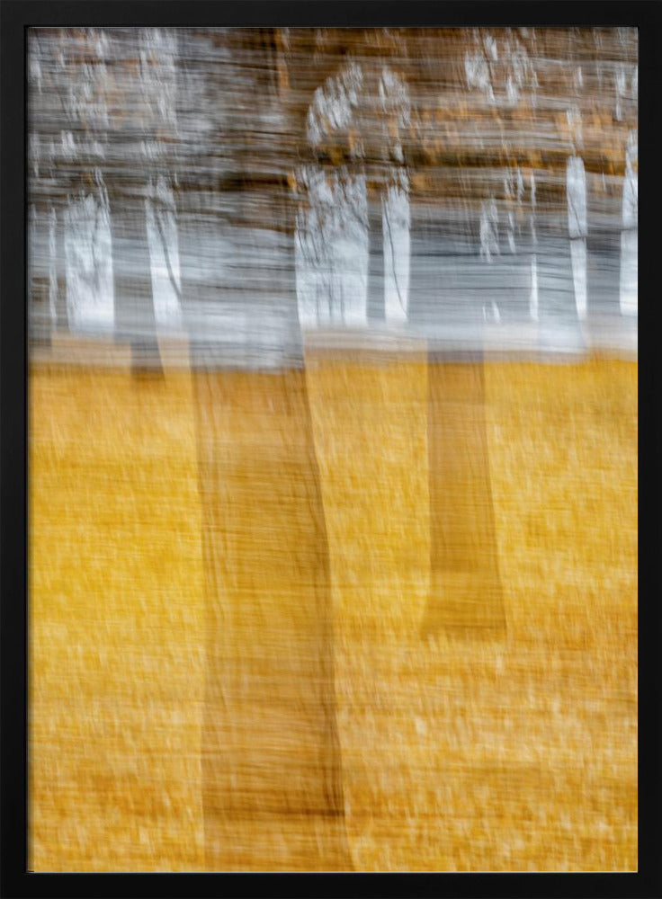 黄叶西风 | Poster