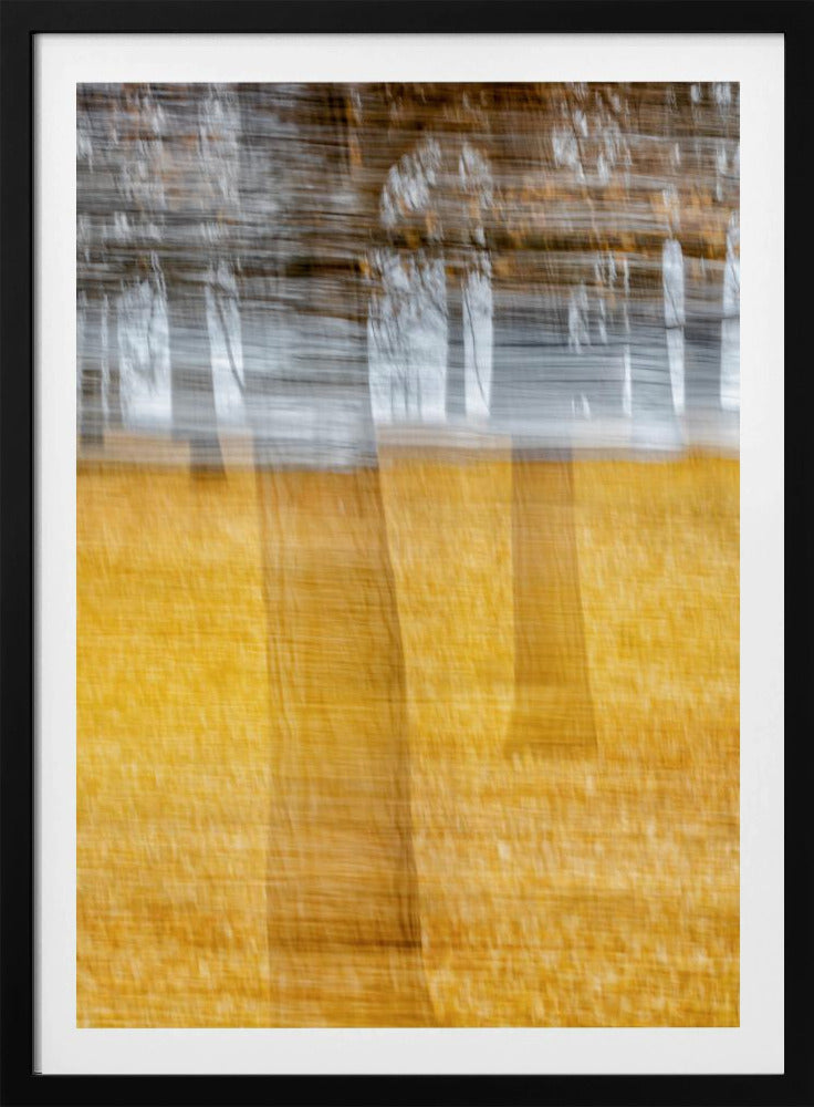 黄叶西风 | Poster