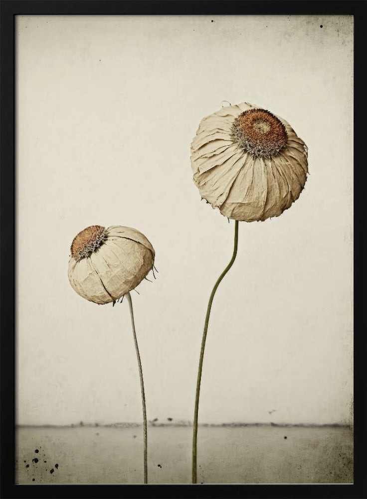 Whispering Blooms | Poster