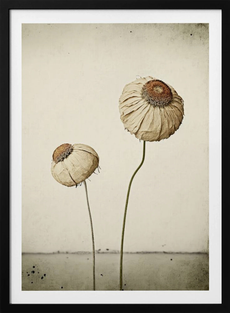 Whispering Blooms | Poster