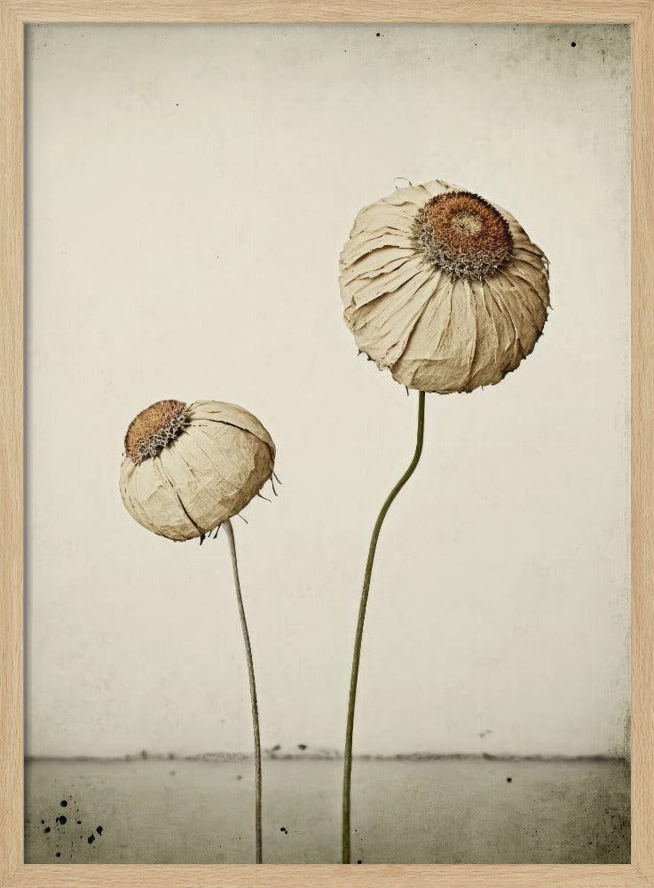 Whispering Blooms | Poster