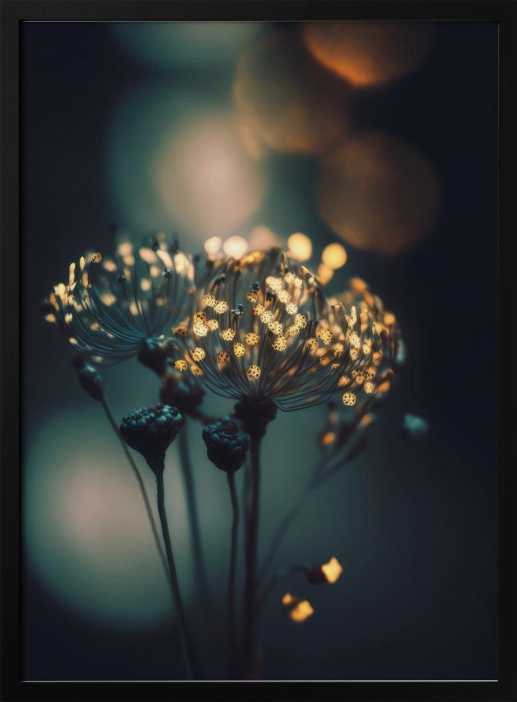 Enchanted Blossoms | Poster