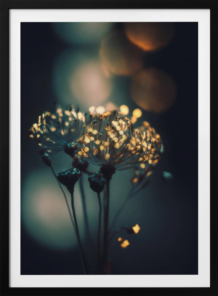 Enchanted Blossoms | Poster