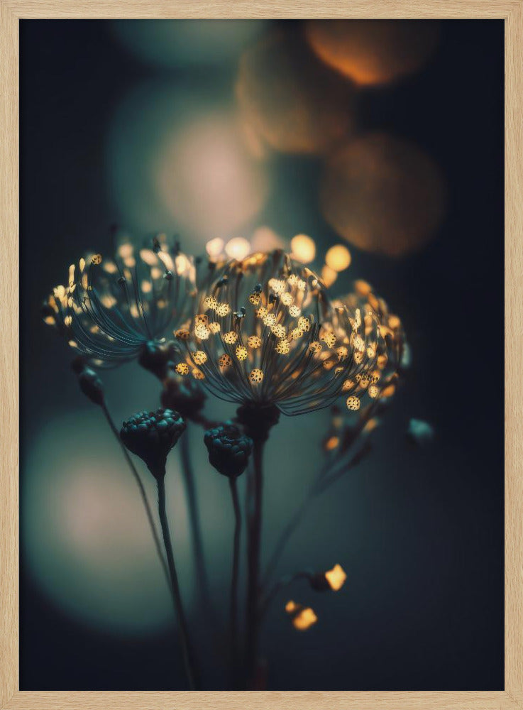 Enchanted Blossoms | Poster