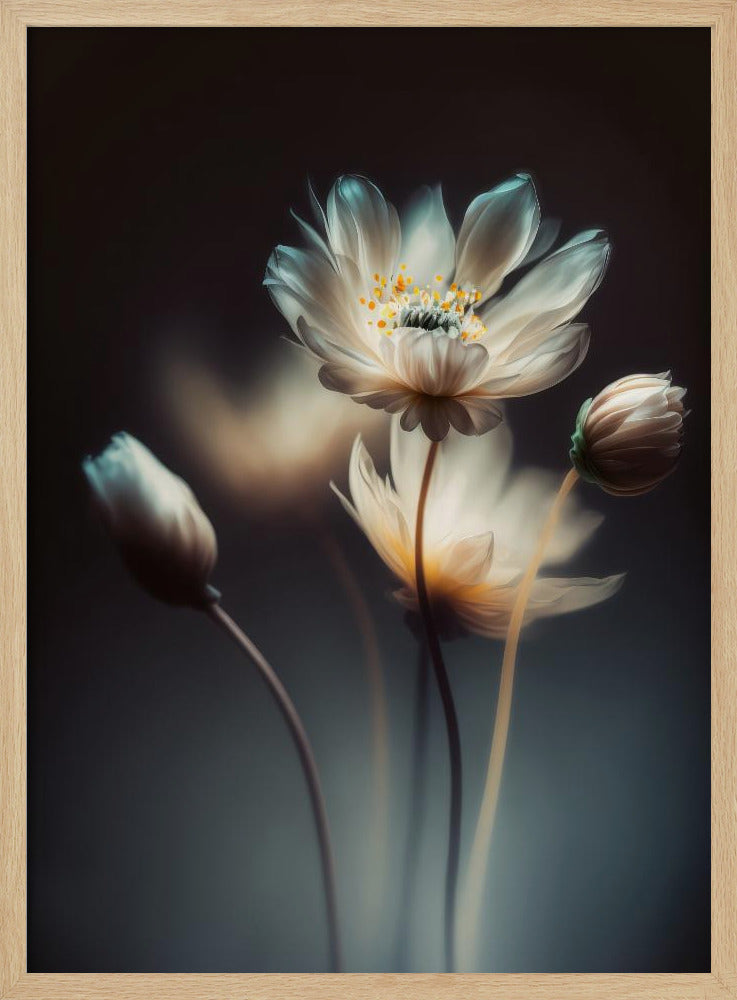 Ethereal Blossoms | Poster