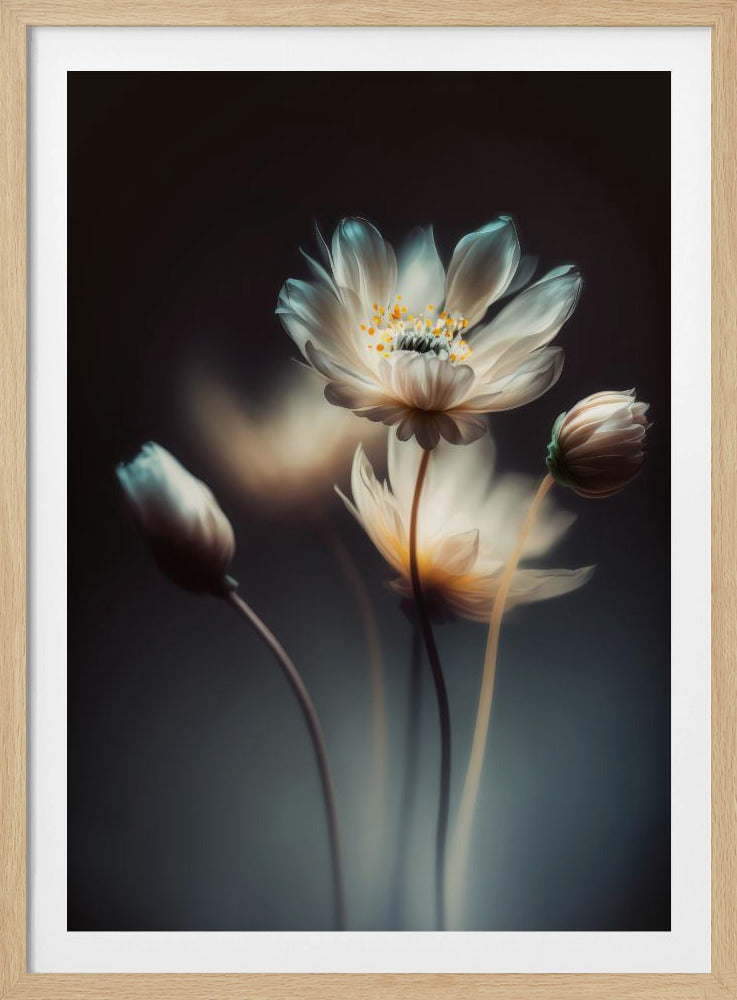 Ethereal Blossoms | Poster