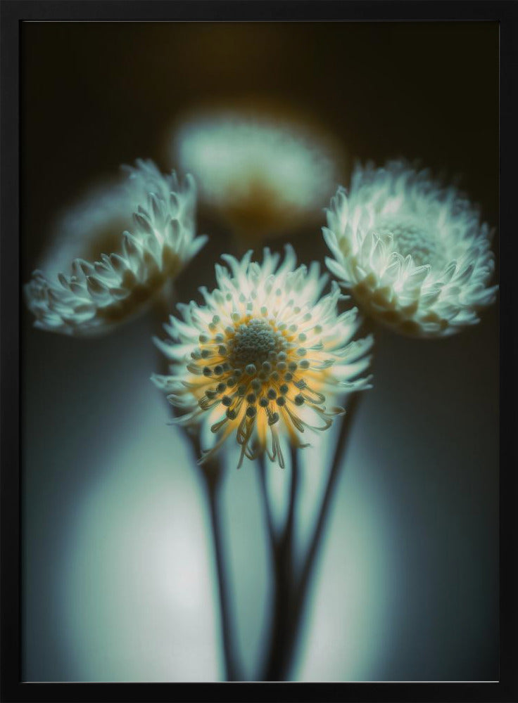 Ethereal Blooms | Poster