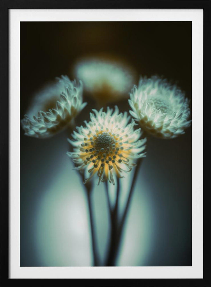 Ethereal Blooms | Poster