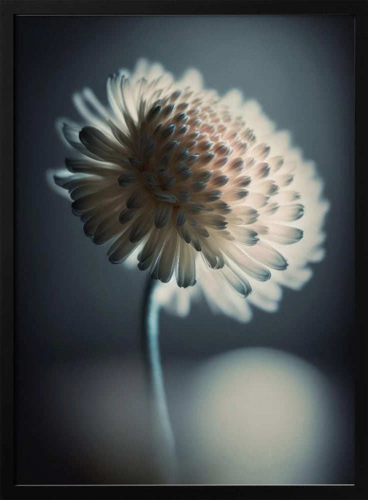 Luminous Blossom | Poster