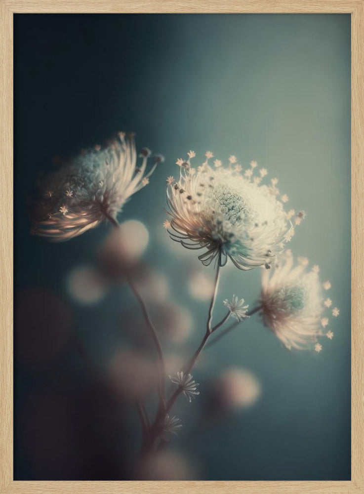 Ethereal Blossoms | Poster