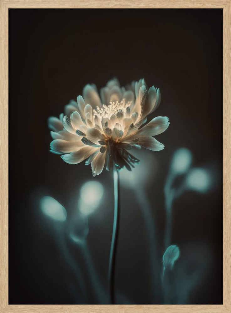 “Luminous Blossom” | Poster