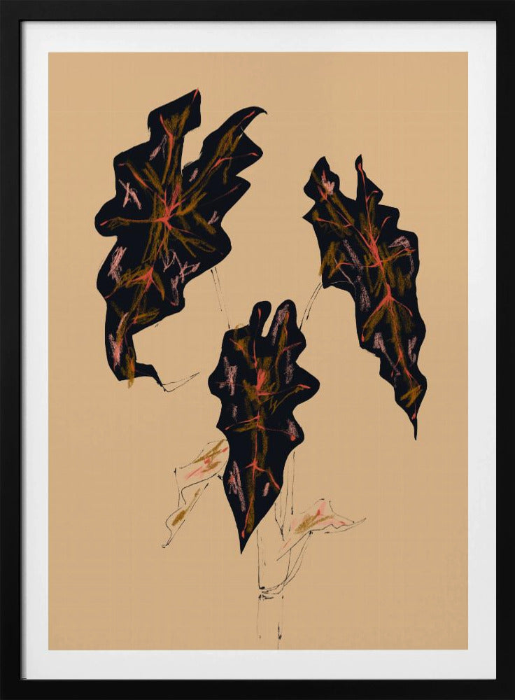 Alocasia Polly Beige | Poster