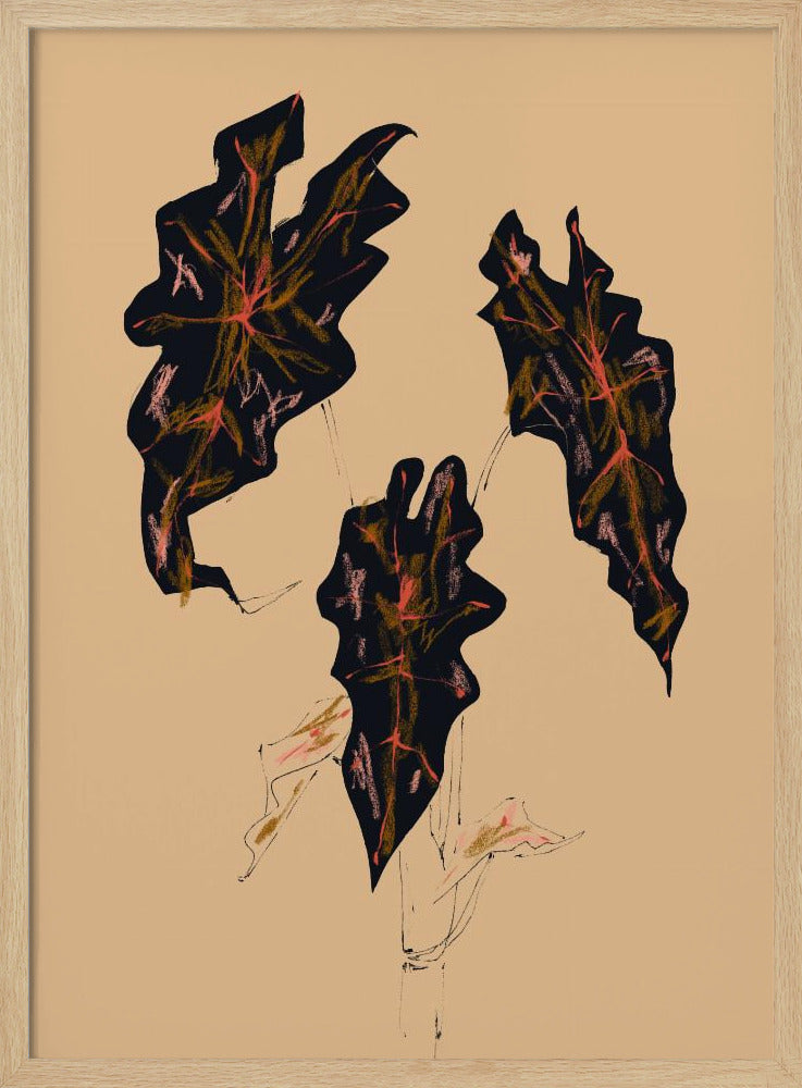 Alocasia Polly Beige | Poster